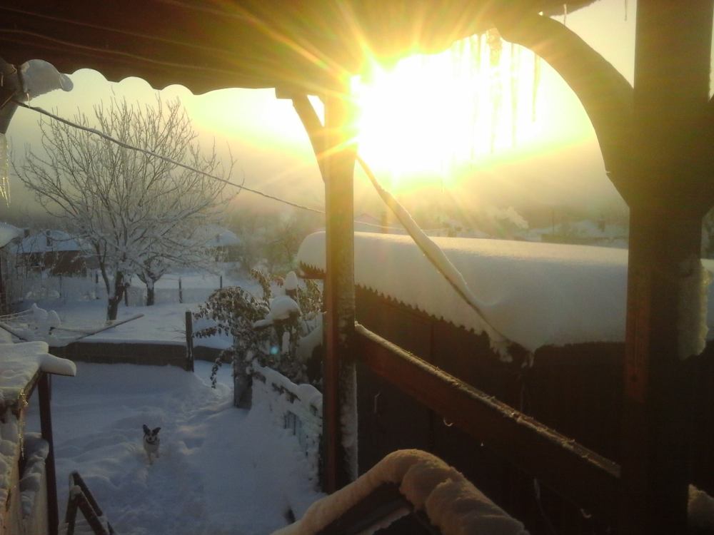 15820665_10208667139656889_256582476_o